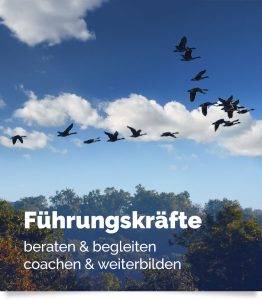 Führungskräfte beraten, begleiten, coachen, weiterbilden